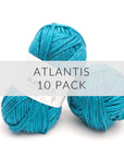 10 Pack Wander Acrylic Yarn Yarn FurlsCrochet Atlantis 